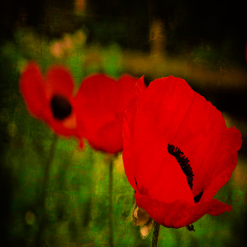 All of me into the infinity